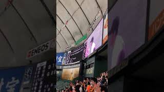 【巨人×中日】2019年6月2日 2打席連続ホームランの坂本、7回1失点で5勝目の山口ヒーローインタビュー
