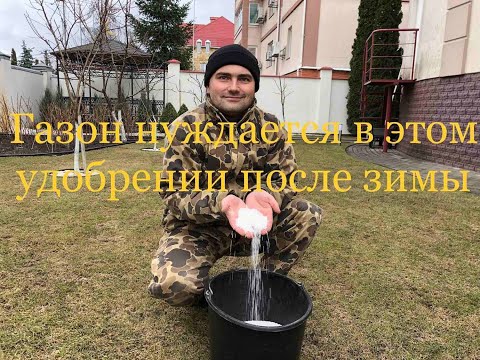 Чем подкормить газон ранней весной?