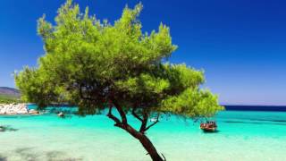 Jackie Queens - Next To You (Prod by XtetiQsoul)