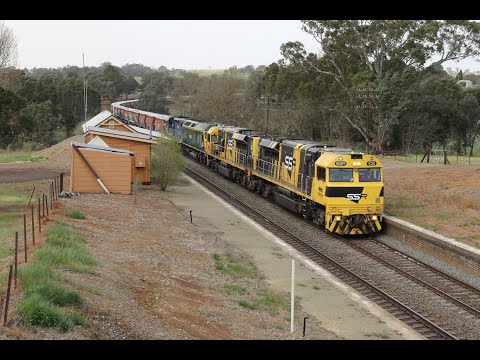 1SA2 SSR Grain Train with SSR102, SSR101, RL301 & C505 at Harden and Wallendbeen NSW
