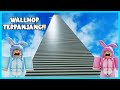 MIPAN ZUZUZU Coba Parkour Wallhop Paling Panjang Di Dunia ROBLOX