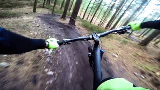 Surrey Hills - Thick and Creamy, Evian and a Nova