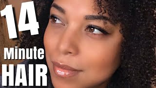 BOMBBB 🔥14 MINUTE WASHnGO on DRY HIGH POROSITY NATURAL HAIR | step by step