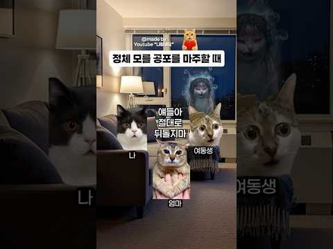 도무지 알 수 없는 실체 없는 공포가 다가올 때 🐱 #고양이밈 #shorts