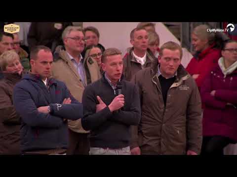 Checkter Stallion Show 2018