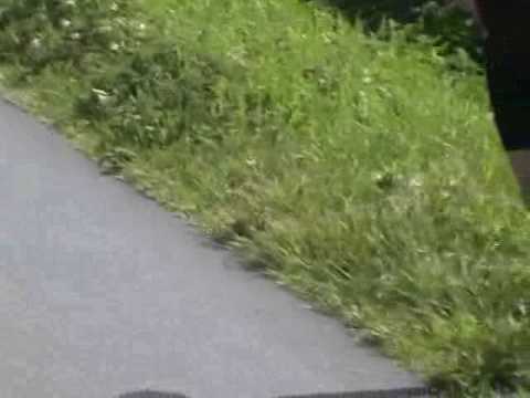 LFT zaterdag 3 mei 2008 Kruishoutem Ambachtzone