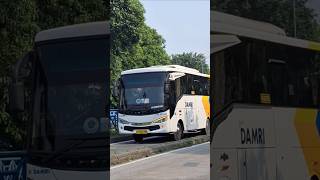 Download lagu naik bus damri #bus #busmania #telolet #tayo #damri mp3