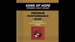 Song of Hope (Heaven Come Down) - Robbie Seay Band