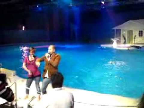 Å de e kärlek å de e vindar och delfinögon som tindrar