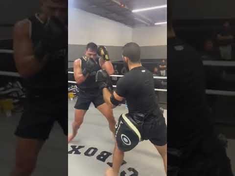 Defend & Counter flow on the mitts!