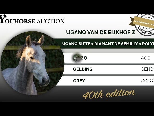 Ugano van de Eijkhof Z Ridden & Jumping