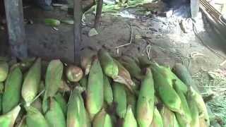 preview picture of video 'Corn on the cob: a roadside stall in the Philippines, truly sweet'