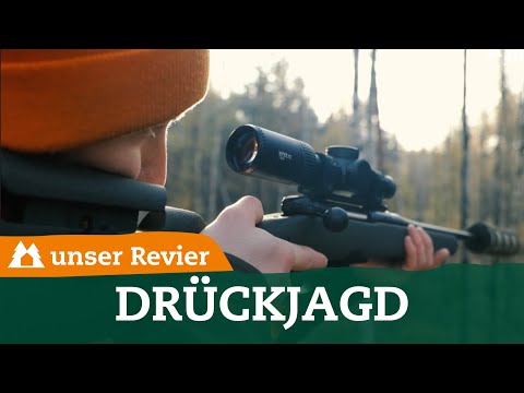 Drückjagd im Testrevier | Driven hunt | Rehwildjagd in Sachsen | 2022 | unser Revier | #48