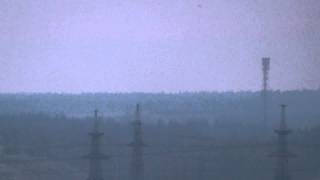 Biosphere — Poa Alpina