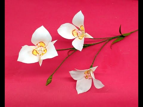 How to make Crepe Paper Flowers Sego Lily / Calochortus nuttallii (flower # 243)