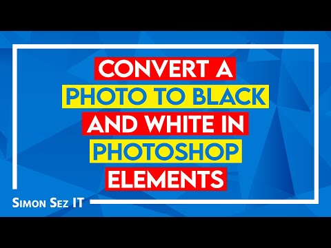 How to Crop a Photo and Images in Photoshop Elements 2022 Using the Crop Tool