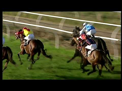 Napoli Galoppo 11/12/2021 - 3ª corsa