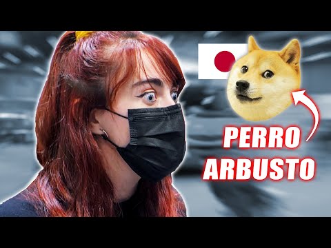 ¿VERDADERO O FALSO? CURIOSIDADES ANIME Y JAPÓN | JAPAN WEEKEND MADRID 2022