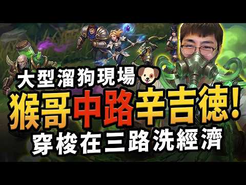 猴哥：「全圖遛狗」模式！中路辛吉德一人吃三路超級爽！猴哥這根本就是開掛爆金幣！