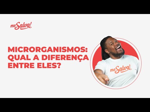 Microrganismos: qual a diferença entre eles?  | AULA do ZERO - Biologia | Me Salva! ENEM 2021
