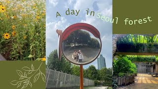 Visiting Seoul Forest - South Korea {Gloria's view #5}