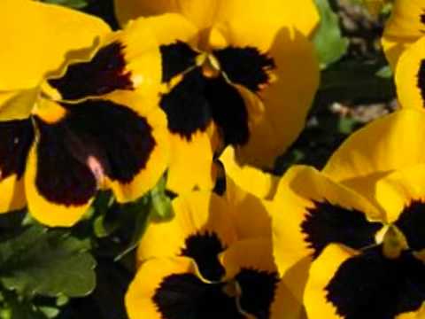 Mariusz-Kalaga-Trzeba-wierzyć-w-Swe-Marzenia-!