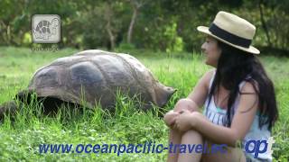 preview picture of video 'Ocean Pacific Travel'