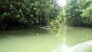 preview picture of video 'Poovar Lake'