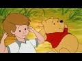 The New Adventures Of Winnie The Pooh Pooh Skies Episodes 1 Scott Moss
