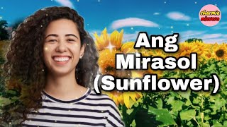 Amado Marabella Jr. Story Watch HD Mp4 Videos Download Free