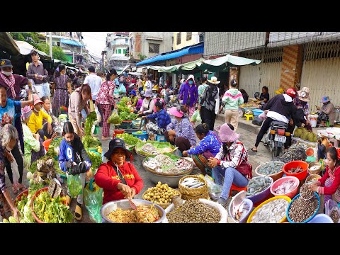 Cambodian Countryside Market Food Compilation - Market Food and Lifestyle