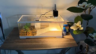Clioran Turtle Tank Kit,PC Small Red Eared Slider Aquarium,Aquatic Baby Tortoise Habitat Review