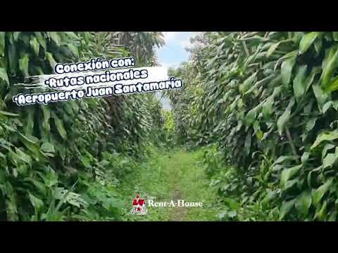 Imagen de Venta de Lotes y Terrenos en La granja - Palmares La Granja - ALAJUELA