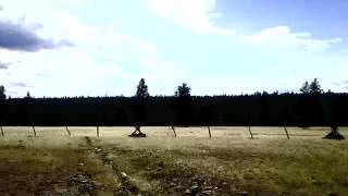 Blitzen Trapper - Thirsty Man  (Track Commentary)