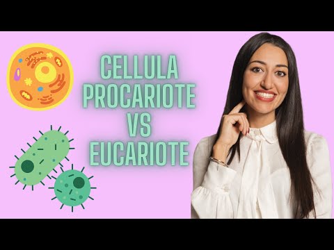 Prokaryotic vs. Eukaryotic Cells: Differences - Video Summary