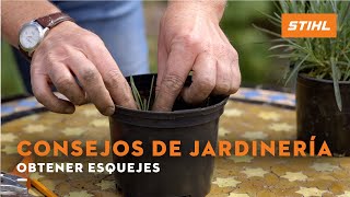 STIHL Consejos de jardinería para verano - Obtener esquejes anuncio