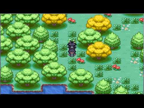 Pokémon Rejuvenation WLL: You´re a creep? + Route 2?