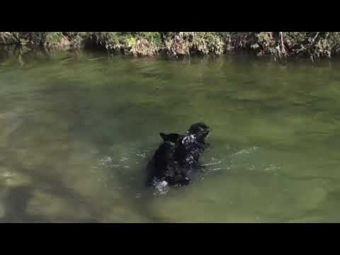 Qué será del verano - Competencia Nuevo Horizonte | BCFCC 2021