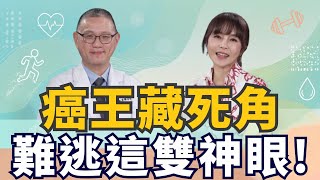 超音波神眼揪出癌王！名醫揭檢查死角！脂肪肝、胰臟炎也別輕忽｜ft.林峰年醫師｜祝你健康