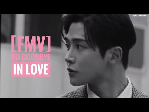 [FMV Romanized Hangul and English] Rowoon's No Goodbye in Love. Live in Tokyo.