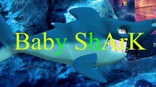 Baby Shark Dance Songs _ Kids Songs and Nursery Rhymes _ Animal Songs