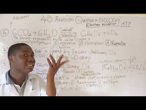 Final revision Likely 2026 Jamb biology Questions tutorial(Get 90+ in Your BIOLOGY)