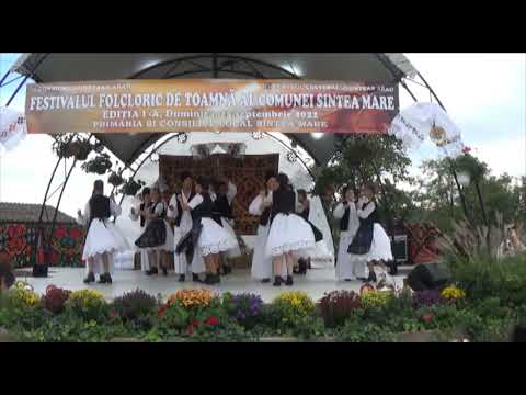 echipa de dansuri populare Sintea Mare