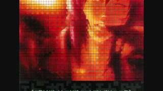 inner universe  - Ghost in the Shell SAC O.S.T.1 -