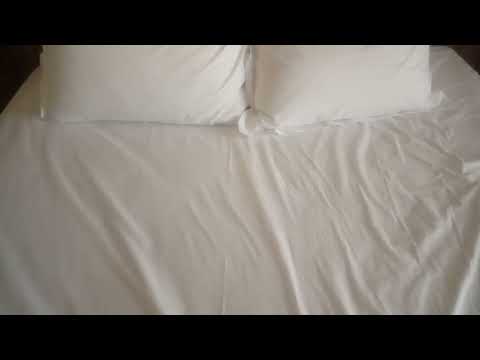 OKULOTA ENYO NGA OZINA OMUKAZI OBA NGA  BAKUZINA