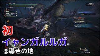 【MHW:IB】初見イャンガルルガ＠導きの地【モンスターハンター/アイスボーン】