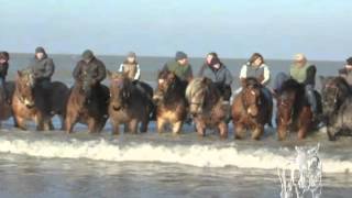 Les chevaux de trait sur la plage, Knokke