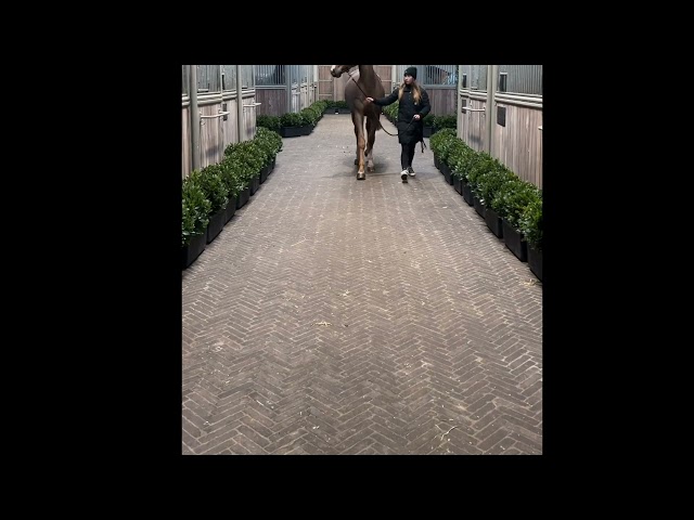 walk & 360