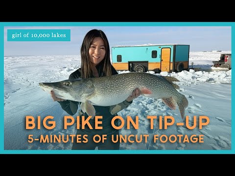 5-minute Battle Catching BIG PIKE on Tip-Up on Lake of the Woods