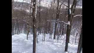preview picture of video 'Skiing (Or At Least Thinking About Skiing!) Ponsoon At Owl's Head, Quebec'